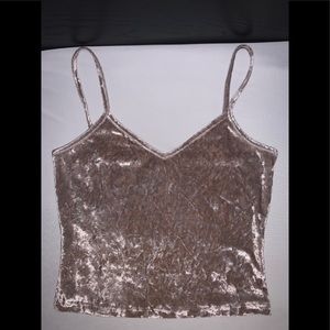 Velvet, champagne colored crop top.